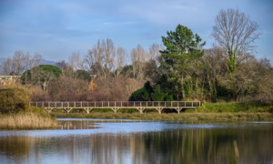 Câmara Municipal de Viana do Castelo inicia empreitada de requalificação do Parque Ecológico Urbano GCI_1052