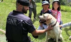 GNR assinala o Dia Mundial do Cão GNR – Dia Mundial do Cão_1