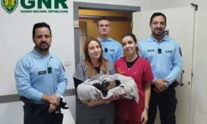 Homem é detido por maus-tratos a animais de companhia e cinco cachorrinhos resgatados (vídeo) GNR Viana do Castelo – Recuperação1