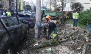 Viana do Castelo disponível para apoiar municípios afectados pelo mau tempo q5