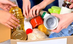 recolha-alimentos-770×470-m7kz